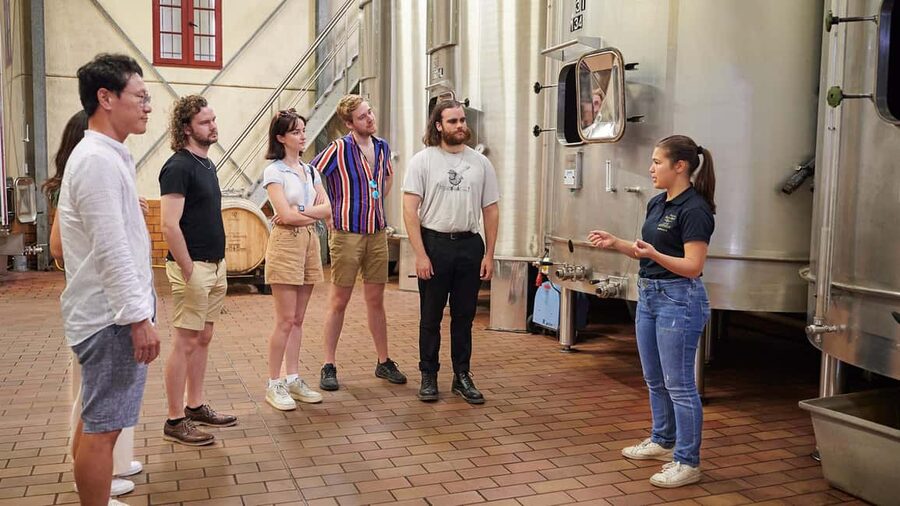 Margaux - Discovery tour of the vineyard with a tasting of 4 wines - Following the De Schepper family story