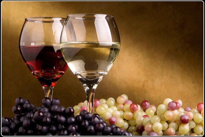 Marlborough Wine Region Tour from the Port of Picton - The Vines Village shifts from wine to local treats
