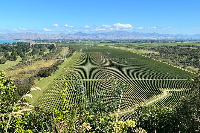 Marlborough Wine Region Tour from the Port of Picton - Lunch, timing, and the real pace of the day