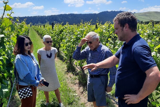 Martinborough Winery and Foodie Day Tour with vineyard lunch - A food-first route from Wellington to Martinborough