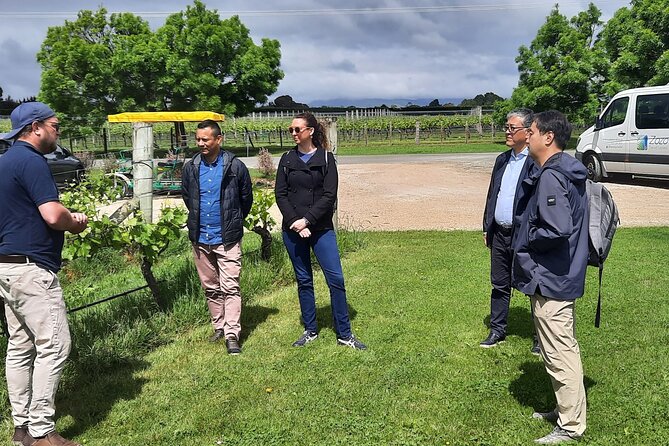 Martinborough Winery and Foodie Day Tour with vineyard lunch - Ending with chocolate at Schoc Chocolates