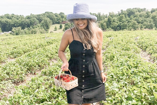 Mattituck Bike Wine Country and Fruit Orchard Tour - Farm stand treats and an optional lunch