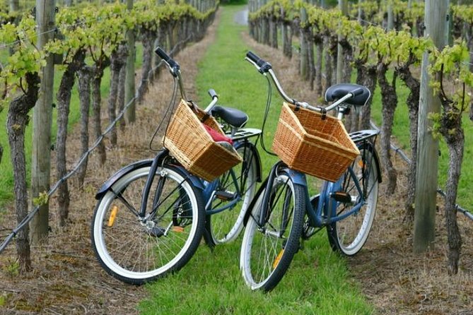 Mattituck New York Guided Farm and Wine Country Bike Tour - What makes this Mattituck bike tour worth considering