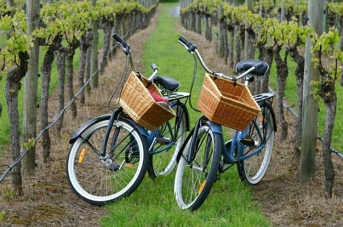 Mattituck New York Guided Farm and Wine Country Bike Tour - Seasonal events after the ride