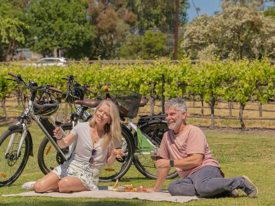 McLaren Vale: E-Bike Rental to Explore the Vineyards - Key points to know before you book
