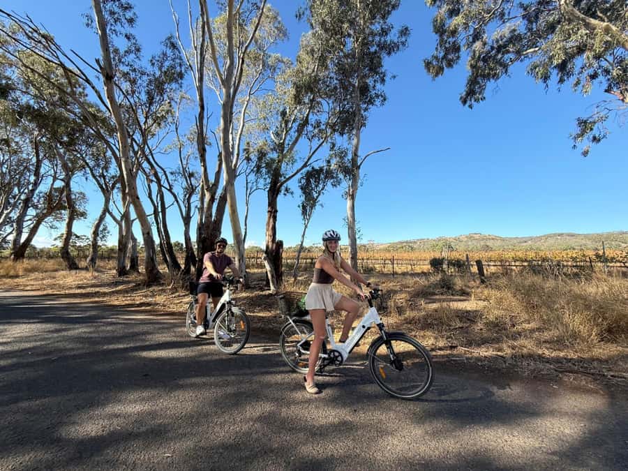 McLaren Vale: E-Bike Rental to Explore the Vineyards - Riding the vineyard tracks at an easy pace