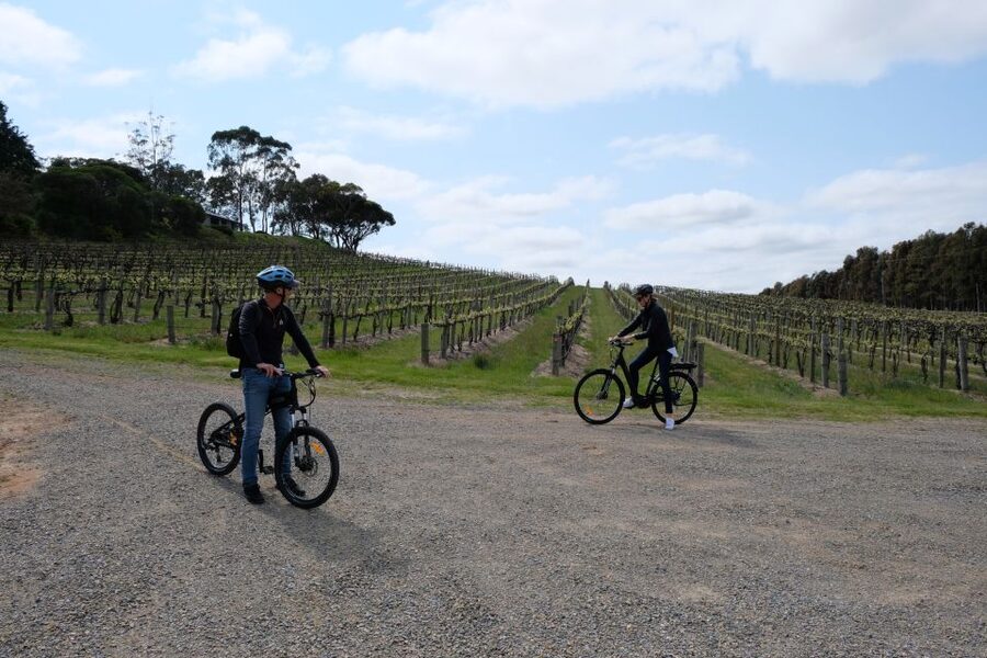 McLaren Vale: E-Bike Rental to Explore the Vineyards - Small-group support and possible bike issues