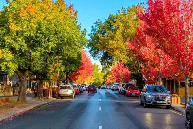 McLaren Vale Wine Region via Hahndorf Full-Day Tour from Adelaide - Timing, pickup, and practical details