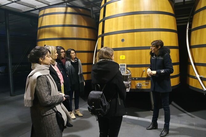 Medoc Region Wine Day Trip with Vineyard Visits & Tastings from Bordeaux - Why Médoc is worth a full day from Bordeaux