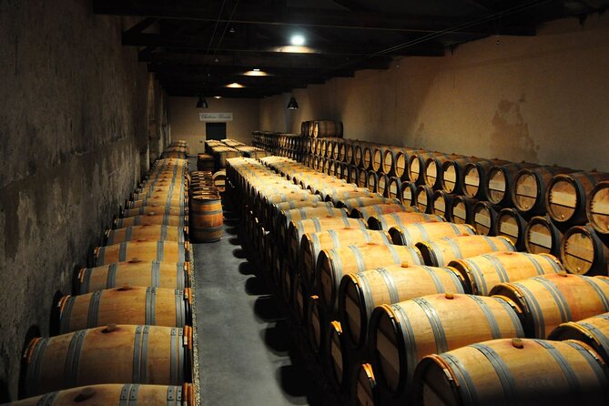 Medoc Region Wine Day Trip with Vineyard Visits & Tastings from Bordeaux - The final château and the value of variety