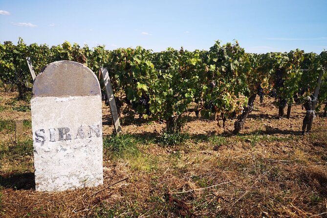 Medoc Region Wine Day Trip with Vineyard Visits & Tastings from Bordeaux - What the $266.16 price really covers
