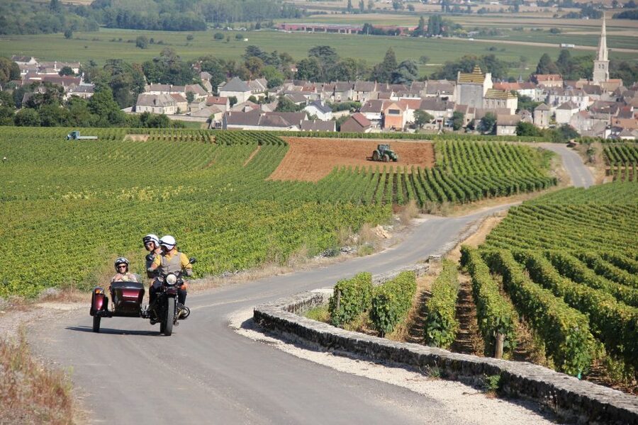 Meursault: Tour of the Vineyards on Motorbike with Sidecar - Why Gilles can make the difference