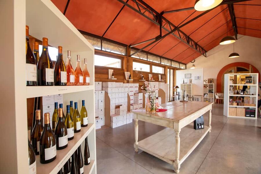 Mèze: Domaine Saint André Vineyard Guided Tour with Tasting - How much winemaking will you see?