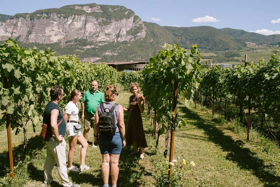 Mezzocorona: Teroldego Vineyard Tour and Wine Tasting - A personal visit with Nadia