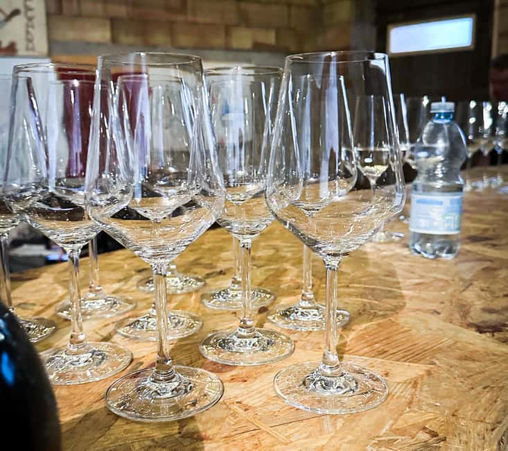 Mezzocorona: Teroldego Vineyard Tour and Wine Tasting - Planning your visit to Mezzocorona