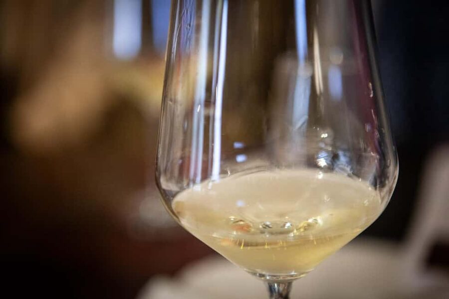 Mezzocorona: Teroldego Vineyard Tour and Wine Tasting - Who will enjoy this wine experience most
