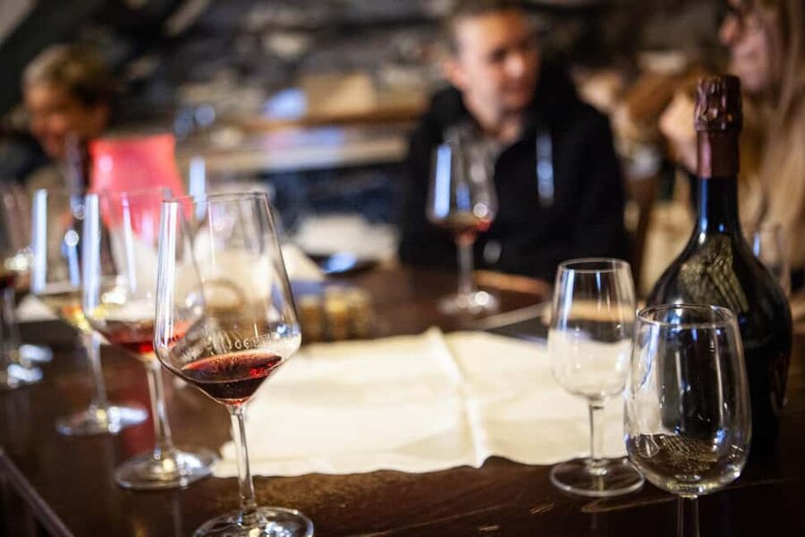 Mezzocorona: Teroldego Vineyard Tour and Wine Tasting - Should you book the Teroldego vineyard tour?