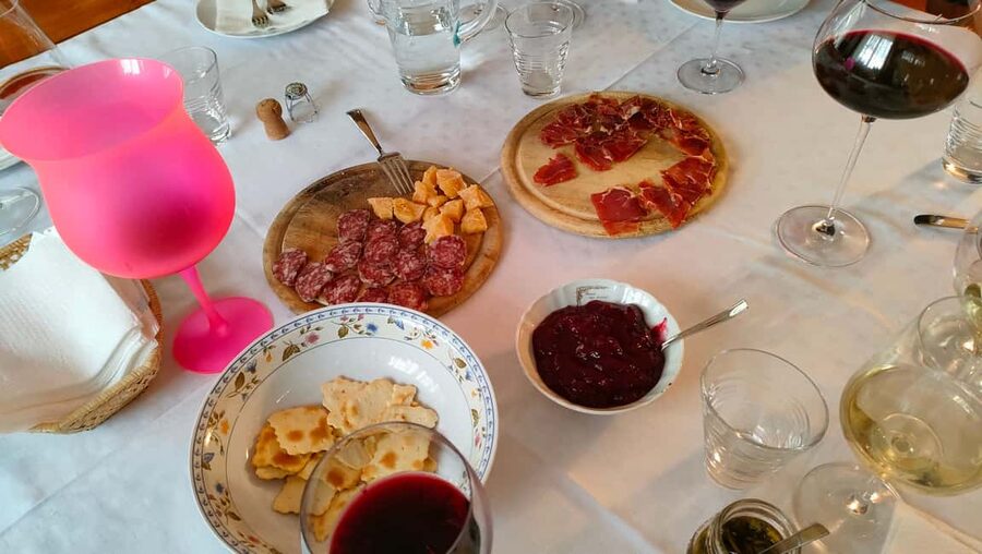 Mezzocorona: Teroldego Vineyard Tour and Wine Tasting - What you learn among the Teroldego vines
