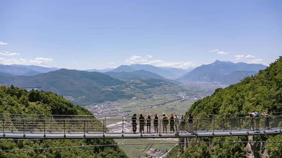 Mezzocorona: vineyard Tour on Mount and tasting of 3 wines - Two hours of wine and local food