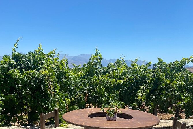 Minoan Crete: Knossos Palace, Winery Visit and Lunch at Peza - My call: a strong food and wine day with one important question