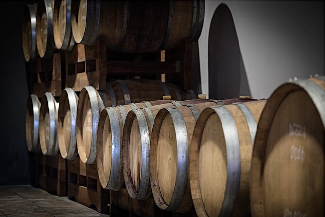 Monferrato (Asti): Wine Tour with light lunch picnic in the vineyards - A vineyard picnic at Tenuta Garetto
