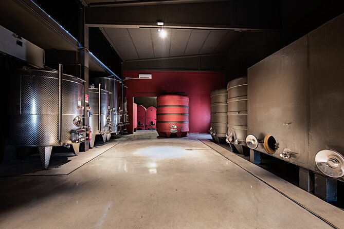 Monferrato (Asti): Wine Tour with light lunch picnic in the vineyards - The English-language question