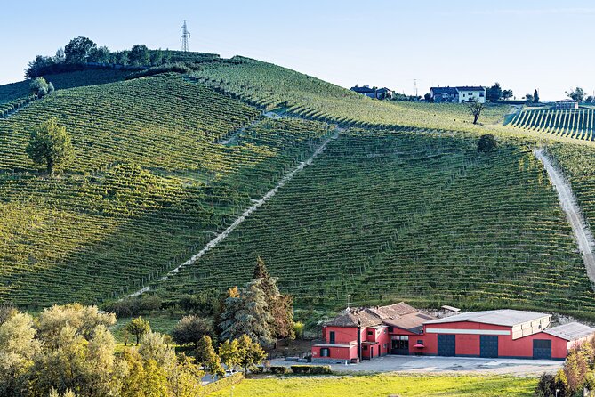 Monferrato (Asti): Wine Tour with light lunch picnic in the vineyards - What the $60.09 price really includes