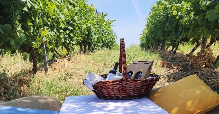 Monferrato: Garetto Wine Estate Tour and Picnic Private - Tasting Piedmontese wine without rushing