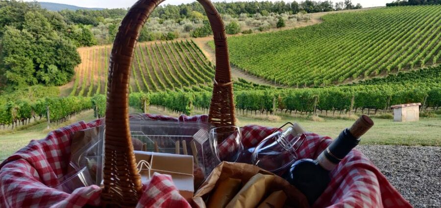 Monferrato: Garetto Wine Estate Tour and Picnic Private - The picnic: five Piedmontese snacks outdoors