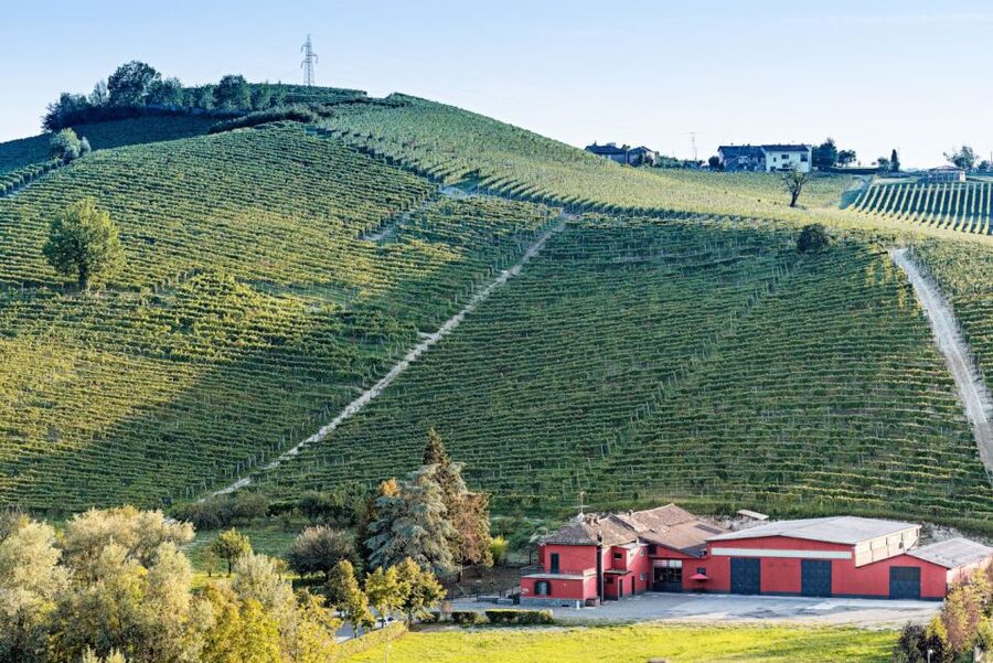 Monferrato: Garetto Wine Estate Tour and Picnic Private - How the private format affects the visit