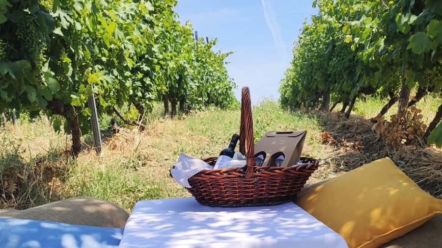 Monferrato: Garetto Wine Estate Tour and Picnic Private - Entering the cellar with the owners