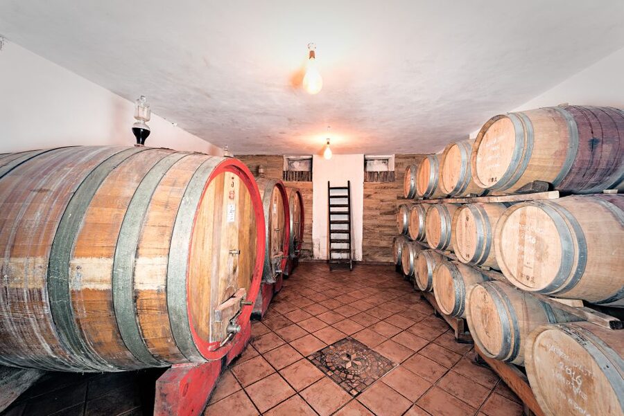 Monferrato: Wine Tour & Picnic in the Vineyards - Should you book the Tenuta Garetto picnic?