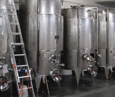 Monforte d’Alba: Wine Tasting, Cellar Visit, and Vineyard Tour
