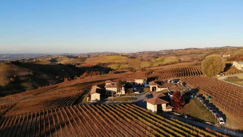 Monforte d'Alba: Wine Tasting, Cellar Visit, and Vineyard Tour - Booking Flexibility and Practical Details