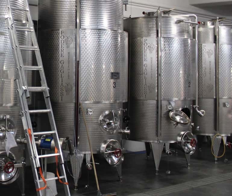 Monforte d'Alba: Wine Tasting, Cellar Visit, and Vineyard Tour - Walking Through 19 Hectares of Organic Vineyards