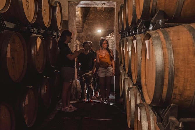Montalcino Castle and Vineyards tour with tasting - Walking the courtyards, walls, and vineyard setting