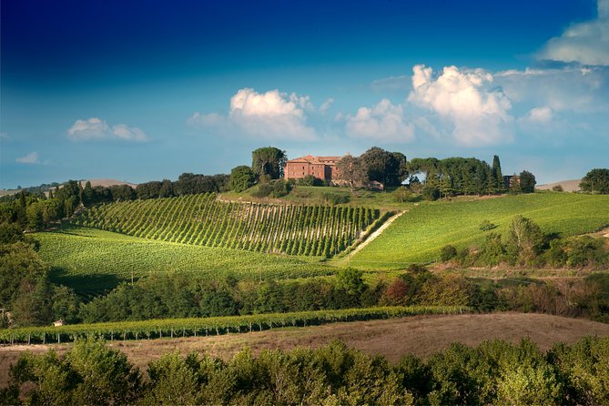 Montalcino: Castle and Vineyards Tour with Tasting - The castle route is short but full of details