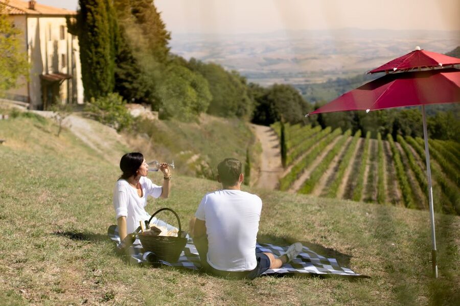Montalcino: Vineyard Picnic with a Bottle of Wine - Key details at a glance