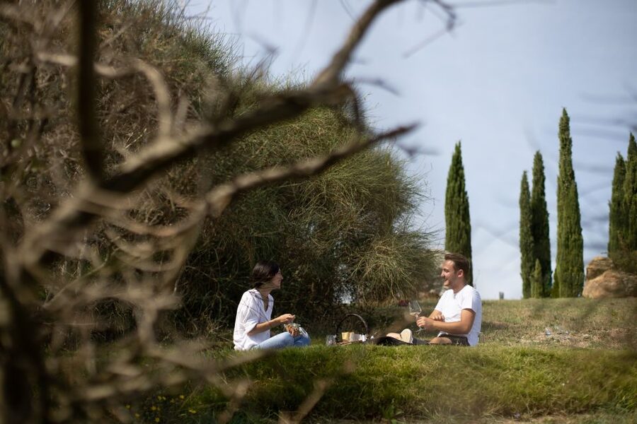 Montalcino: Vineyard Picnic with a Bottle of Wine - Why the vineyard picnic works so well