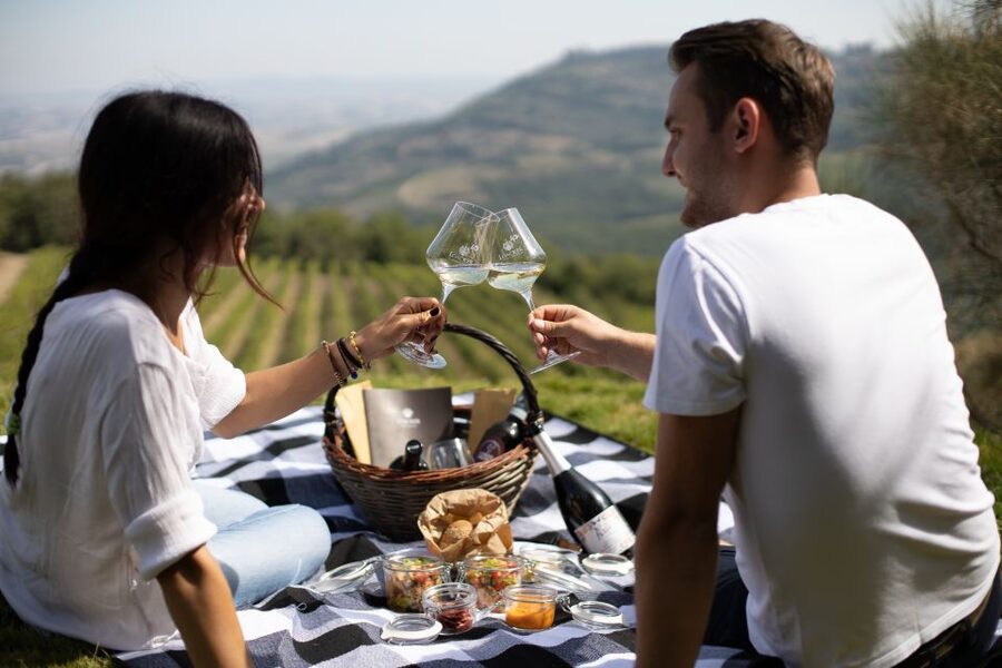 Montalcino: Vineyard Picnic with a Bottle of Wine - Following the Brunello Cru path through the vines