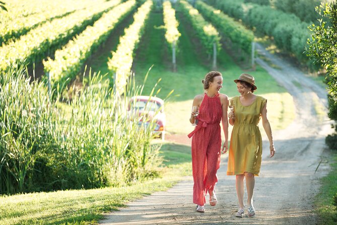 Montalto Vineyard: Mornington Peninsula Discovery Wine Tasting and Lunch - Why Montalto works as a four-hour wine experience