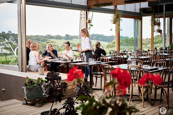 Montalto Vineyard: Mornington Peninsula Discovery Wine Tasting and Lunch - What the $96.83 price includes
