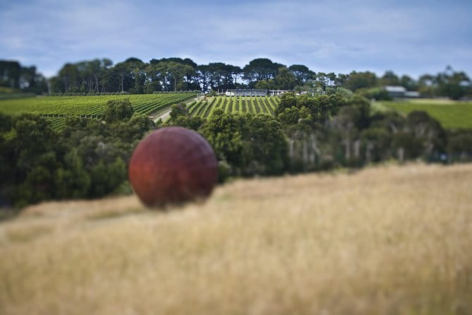 Montalto Vineyard: Mornington Peninsula Discovery Wine Tasting and Lunch - Who should book this Mornington Peninsula visit?