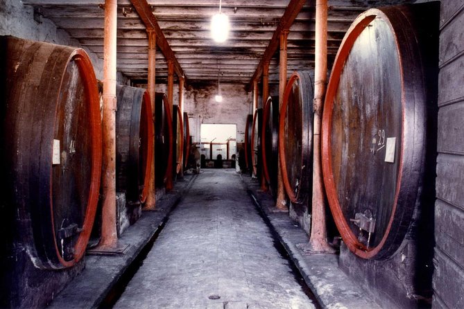 Montefalco: Historic cellar and vineyard tour with wine tasting - Why Montefalco is the right place for a wine tasting