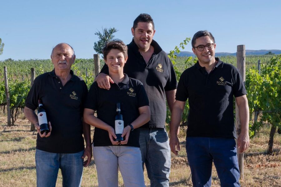 Montefalco: Winery and Vineyard Tour and Private Tasting - Key points at a glance