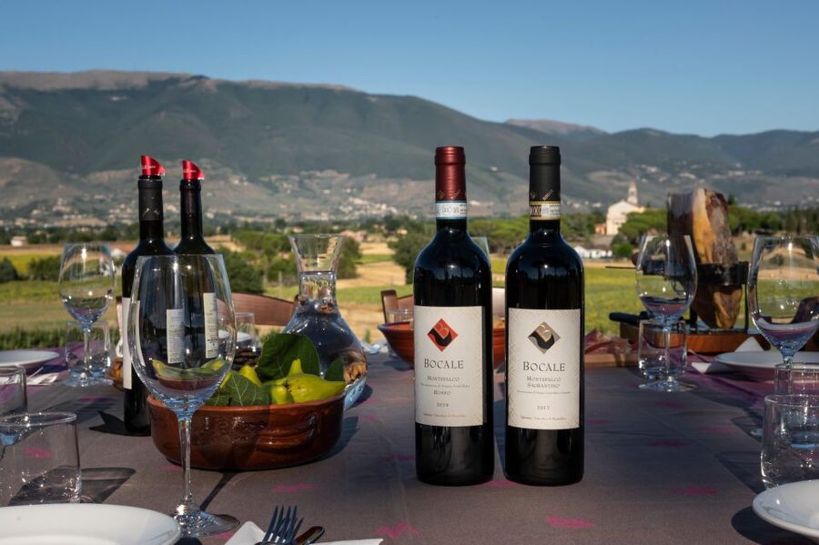Montefalco: Winery and Vineyard Tour and Private Tasting - What Bocale’s scale means for your visit