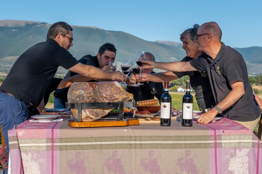 Montefalco: Winery and Vineyard Tour and Private Tasting - Walking from vineyard to cellar