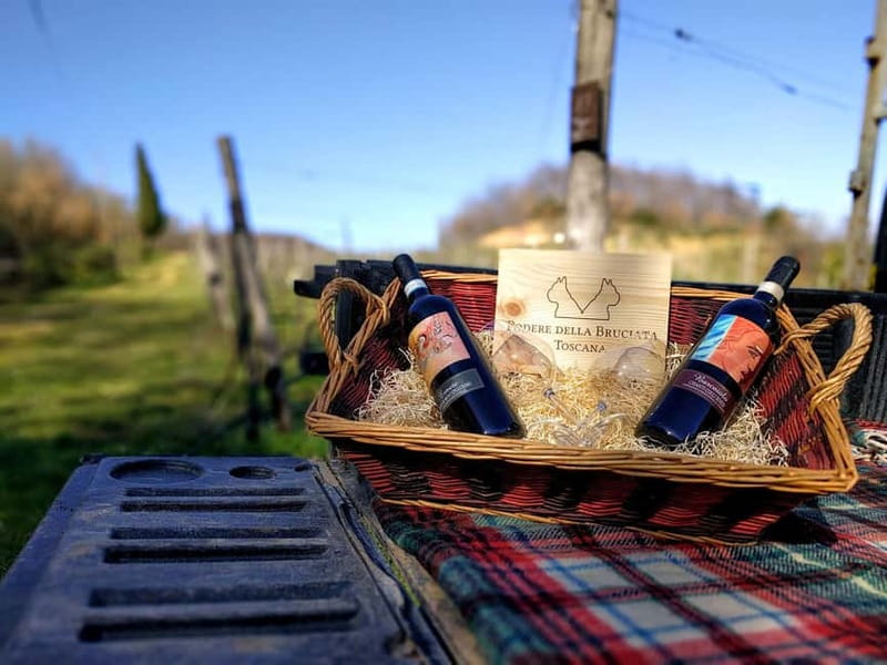 MONTEPULCIANO - PIC NIC WITH WINE! SURROUNDED BY VINEYARDS - Key points at a glance