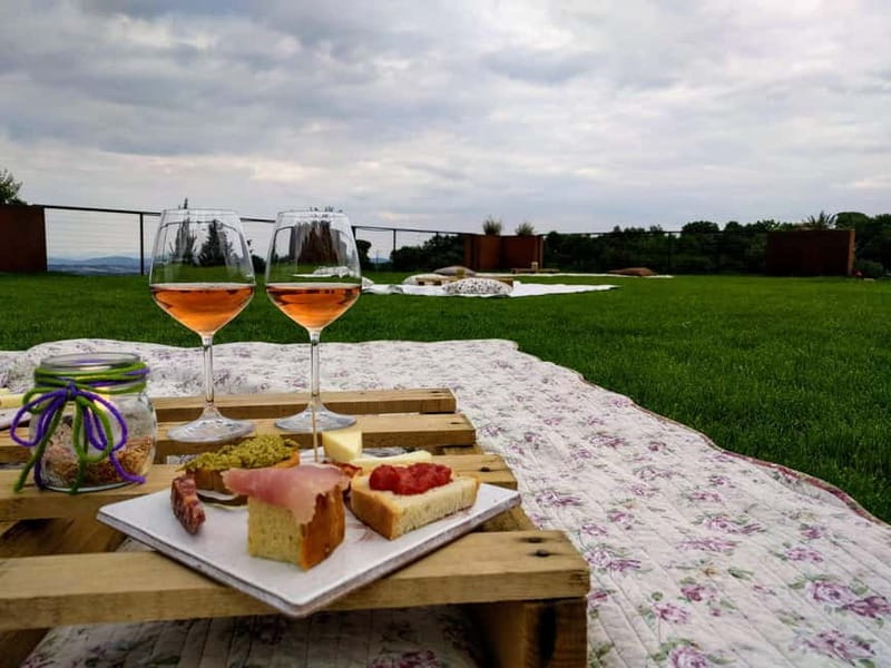 MONTEPULCIANO - PIC NIC WITH WINE! SURROUNDED BY VINEYARDS - Arriving at Podere della Bruciata near Montepulciano
