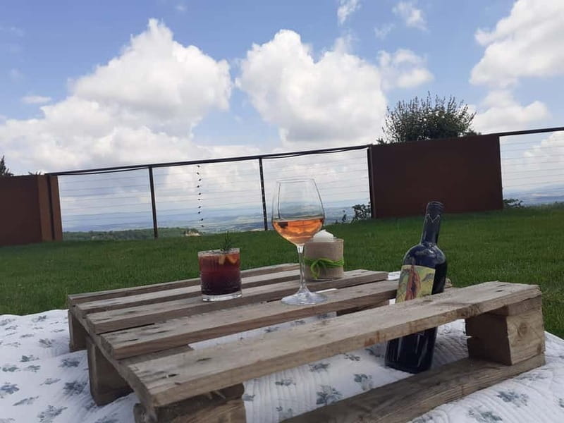 MONTEPULCIANO - PIC NIC WITH WINE! SURROUNDED BY VINEYARDS - Two tasting glasses during the tour